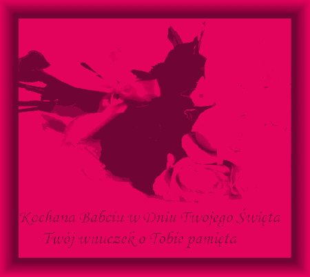 Biało różowe róże na dzień babci